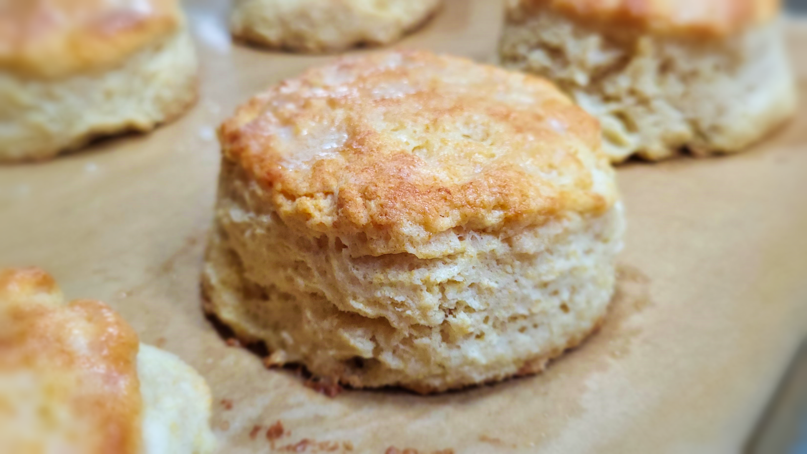 BiscuitHero